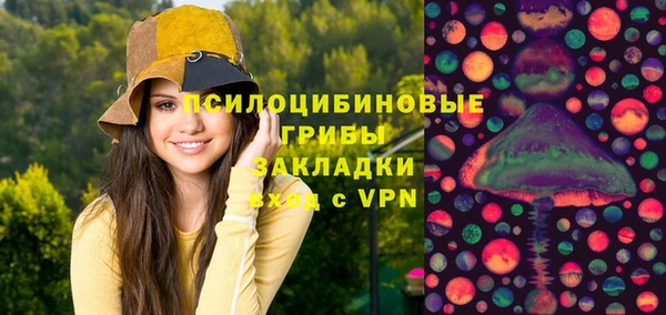 твердый Балахна