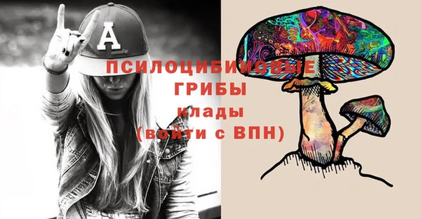 круглые Алзамай