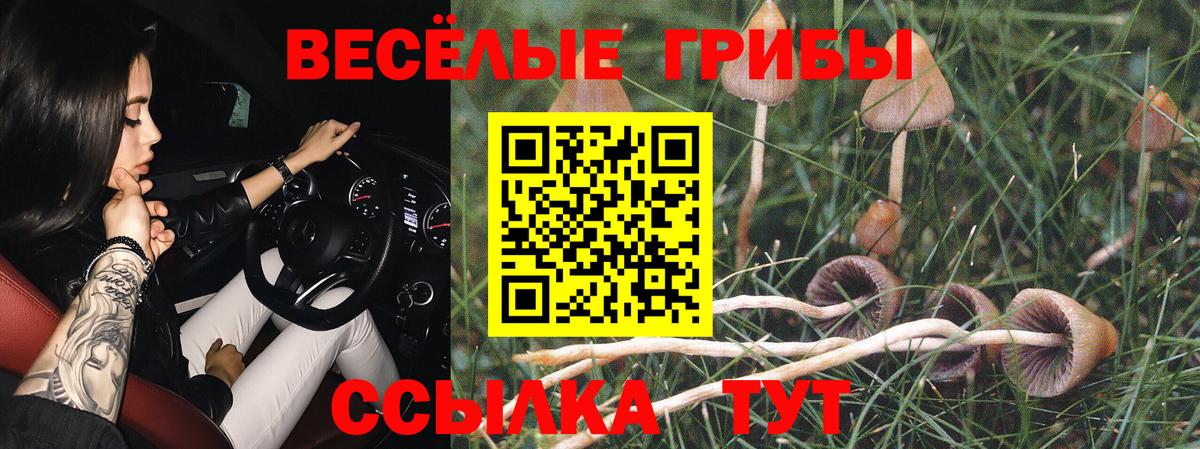 даркнет сайт  Галлюциногенные грибы GOLDEN TEACHER  Псилоцибиновые грибы прущие грибы  Вход с VPN  Курган 